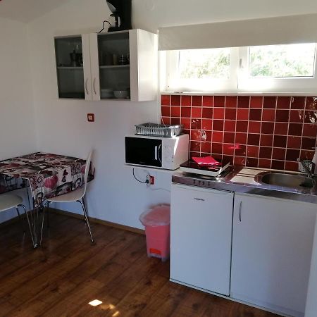 רוביני Nice Studio Near Centar+Free Parking מראה חיצוני תמונה