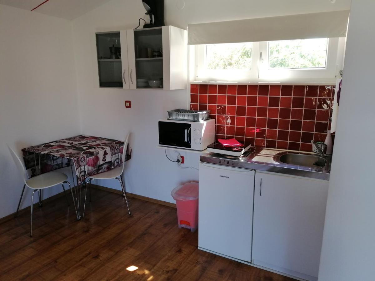 רוביני Nice Studio Near Centar+Free Parking מראה חיצוני תמונה
